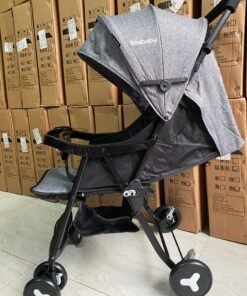 xe-day-1-chieu-seebaby-qq3-3-tu-the-cho-be