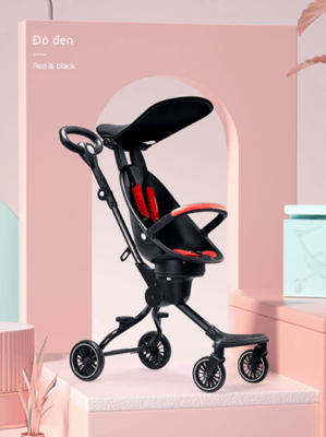 Xe day Baobaohao V5 gap gon tien loi