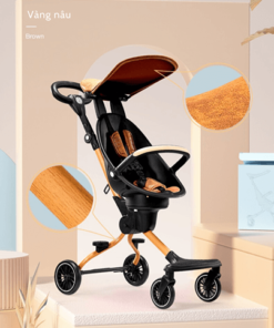 Xe day Baobaohao V5 gap gon tien loi