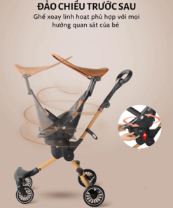 Xe day Baobaohao V5 gap gon tien loi