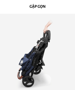 xe-day-doi-seebaby-t22-nhieu-mau