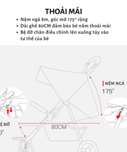xe-day-doi-seebaby-t22-nhieu-mau
