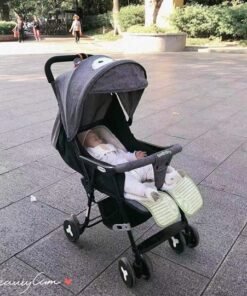 xe-day-seebaby-tai-tho-qq2-1-chinh-hang