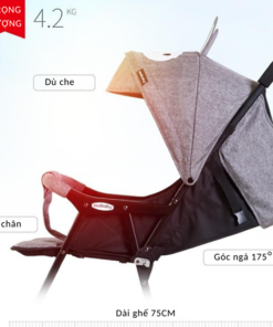 xe-day-seebaby-tai-tho-qq2-1-chinh-hang